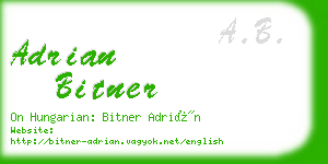 adrian bitner business card